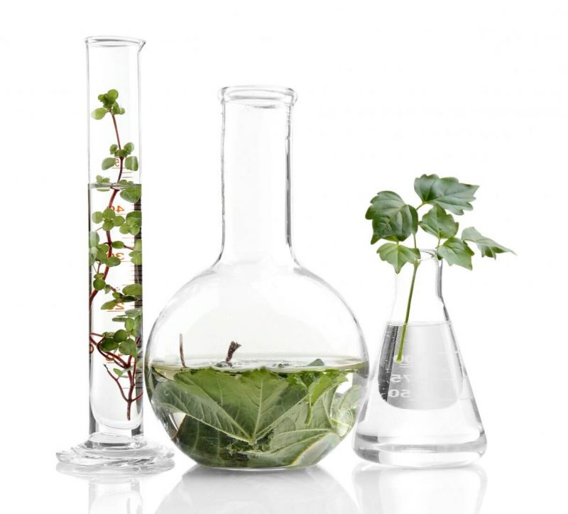 background fermentation